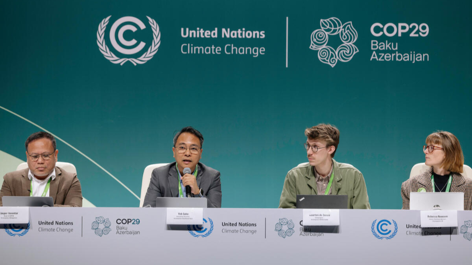 COP29