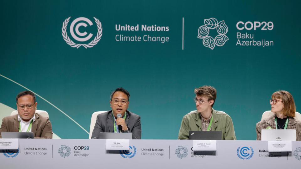 COP29